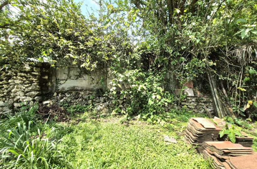 Homes for sale in Atenas Costa Rica