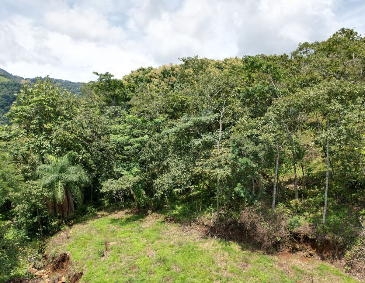 Building Lots for sale in Atenas Costa Rica