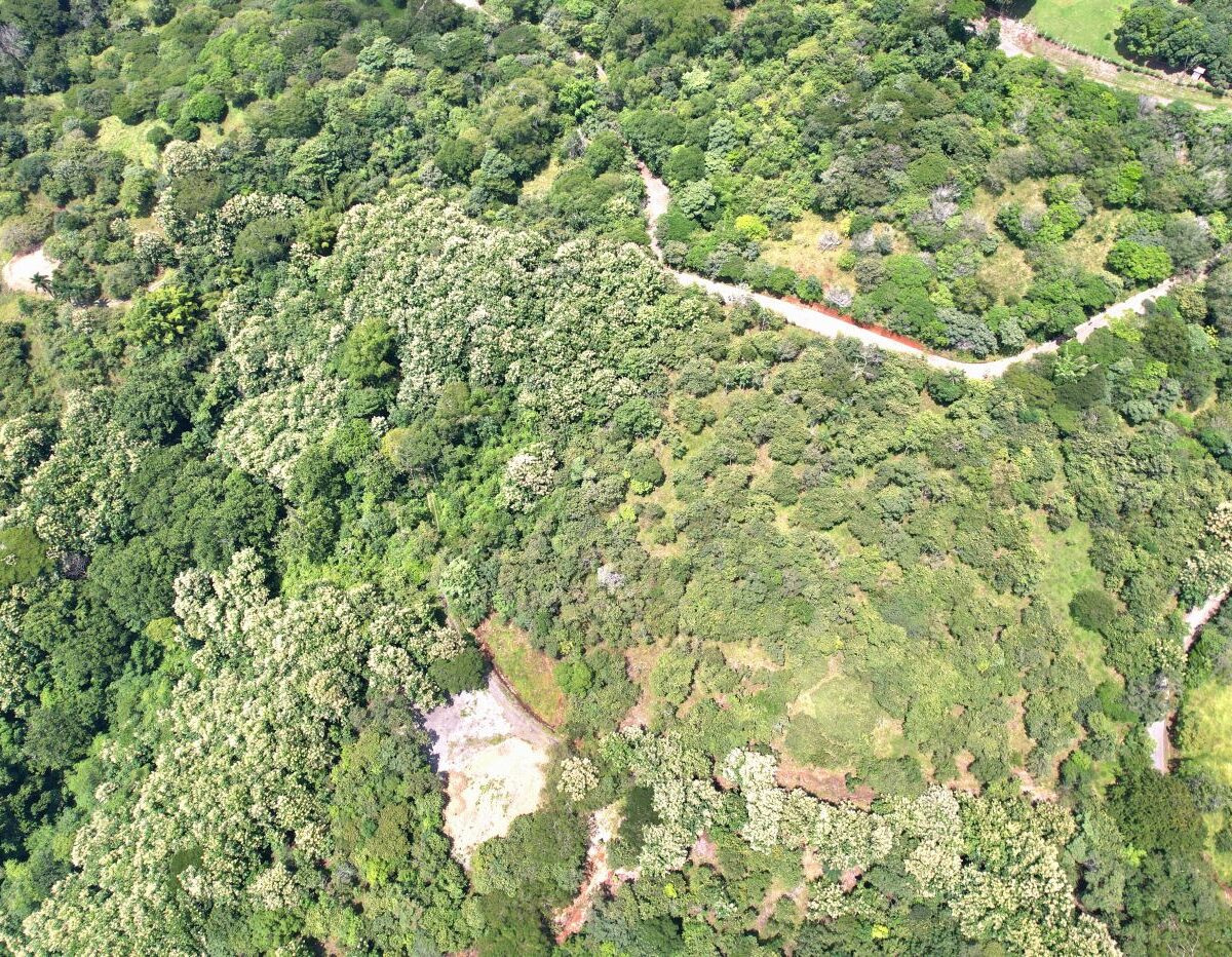 Building Lots for sale in Atenas Costa Rica