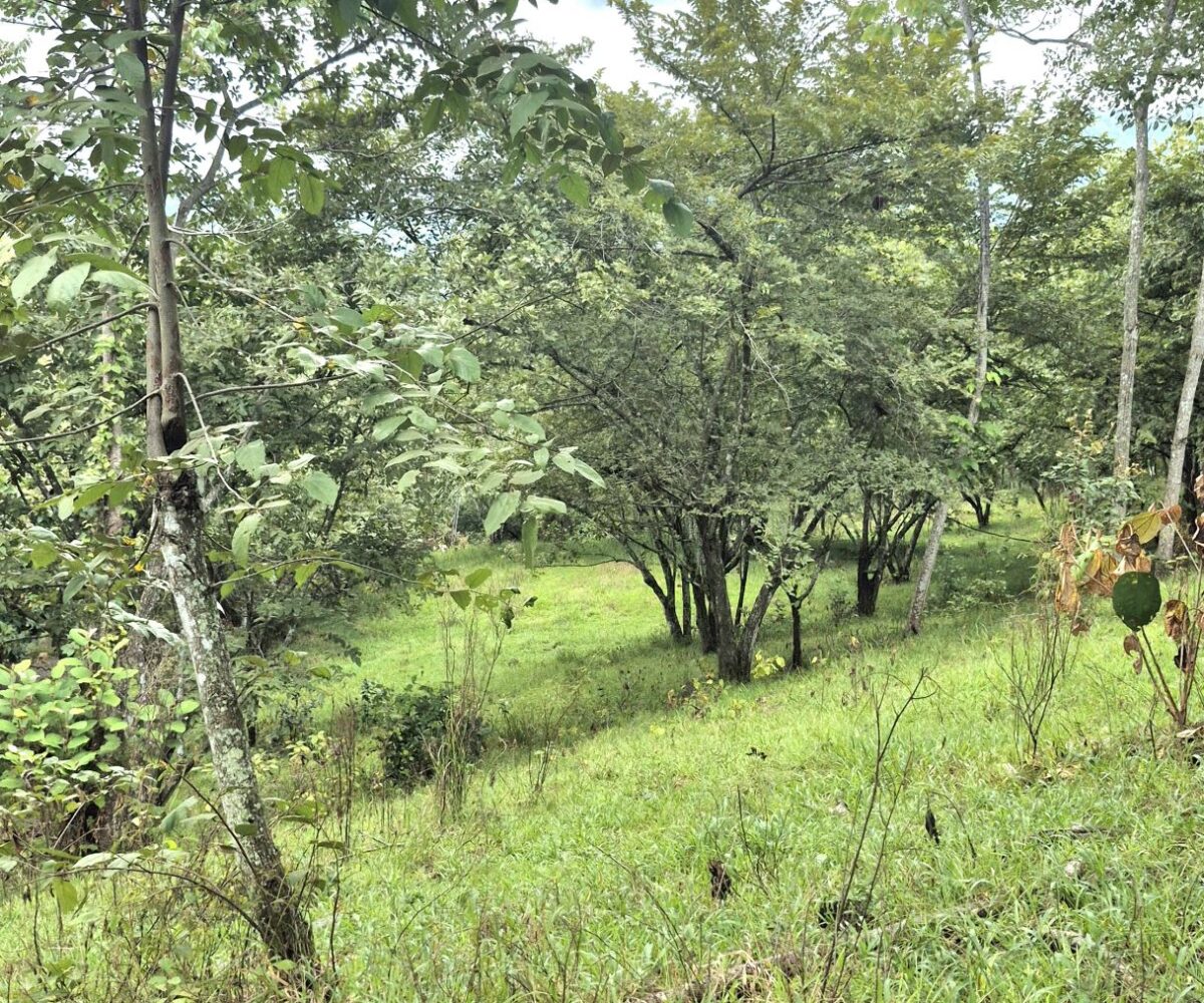 Building Lots for sale in Atenas Costa Rica