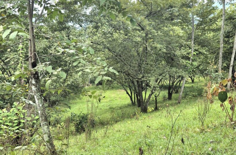 Building Lots for sale in Atenas Costa Rica