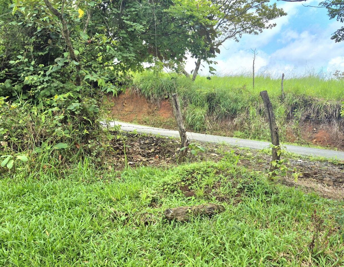 Building Lots for sale in Atenas Costa Rica