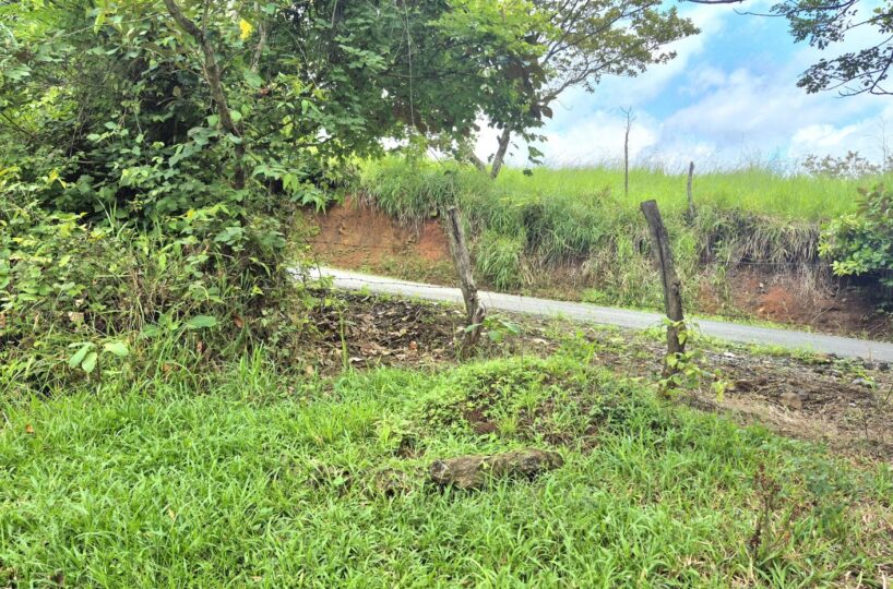 Building Lots for sale in Atenas Costa Rica
