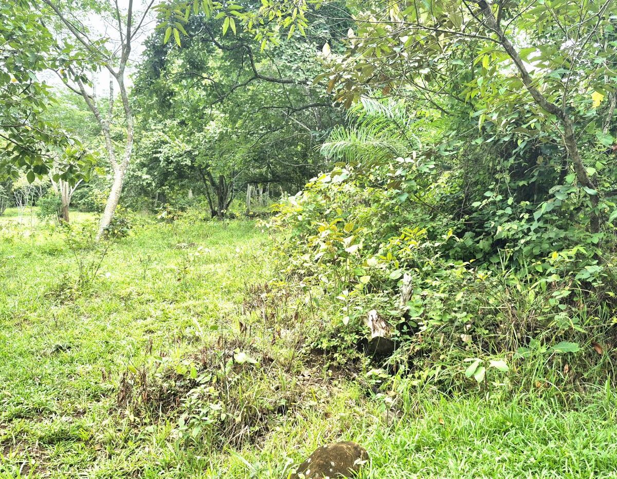 Building Lots for sale in Atenas Costa Rica