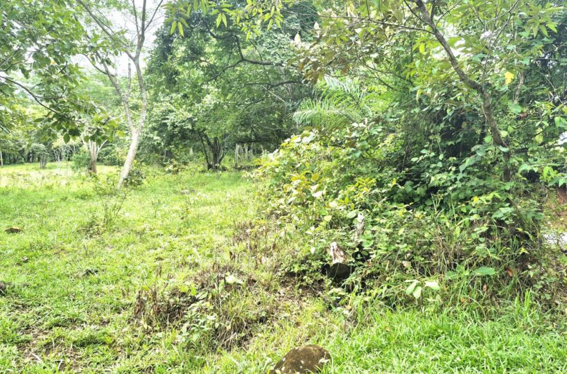 Building Lots for sale in Atenas Costa Rica