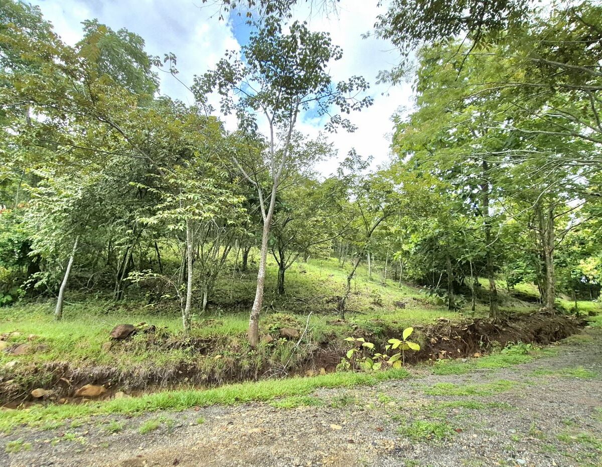 Building Lots for sale in Atenas Costa Rica