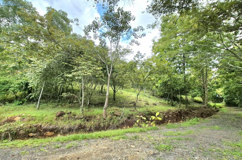 Building Lots for sale in Atenas Costa Rica
