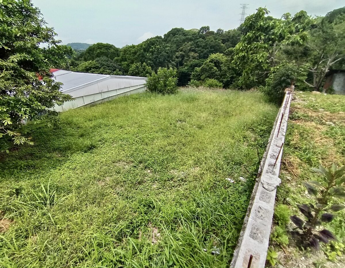 Homes for sale in Atenas Costa Rica