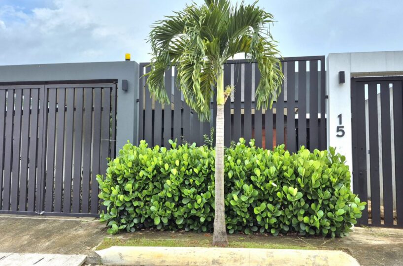 Homes for sale in Atenas Costa Rica