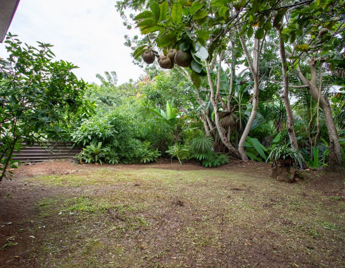 Homes for sale in Atenas Costa Rica