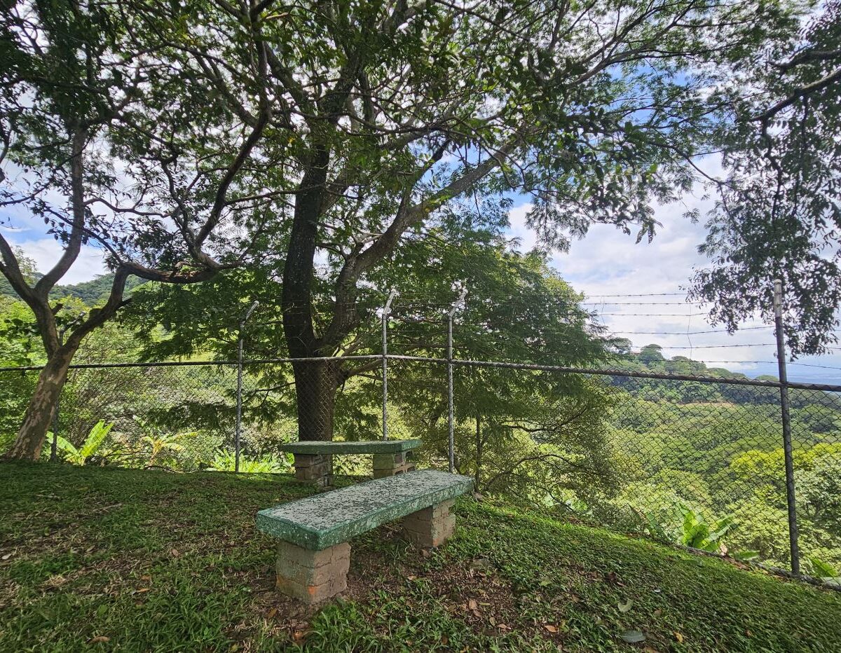 Homes for sale in Atenas Costa Rica