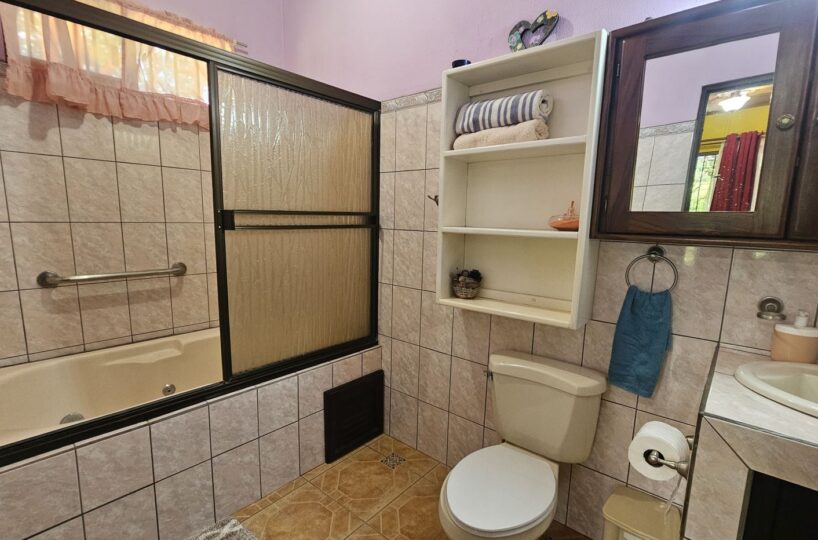 Homes for sale in Atenas Costa Rica