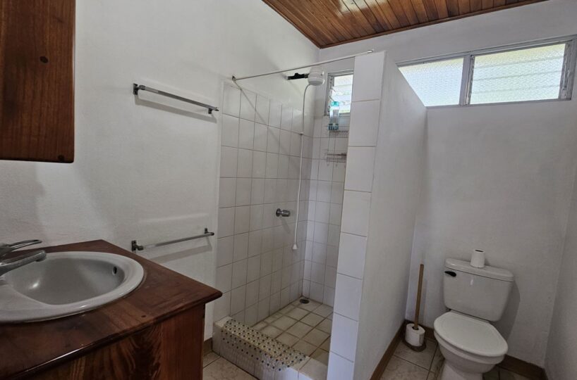 Homes for sale in Atenas Costa Rica