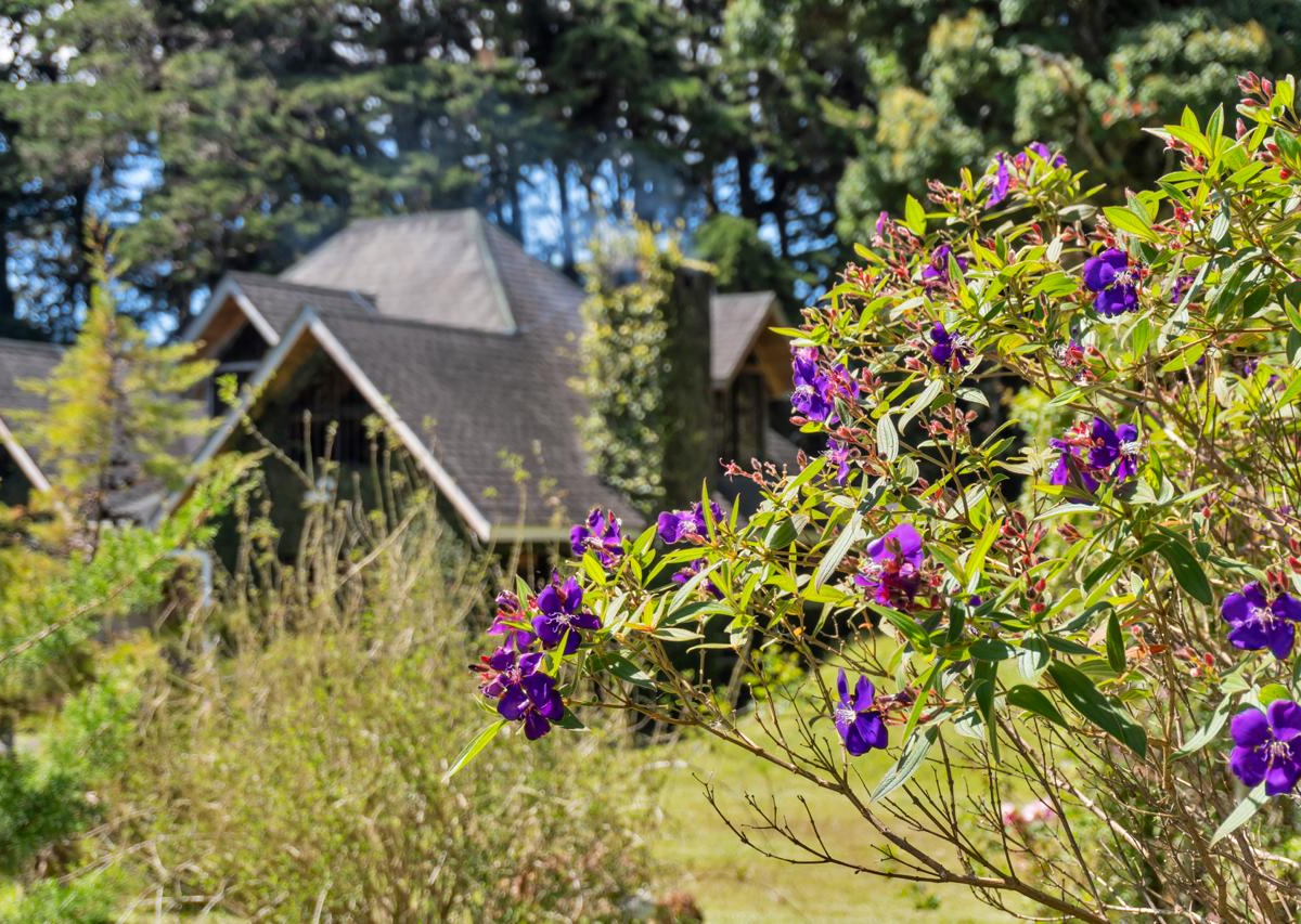 Homes for sale in Heredia Costa Rica