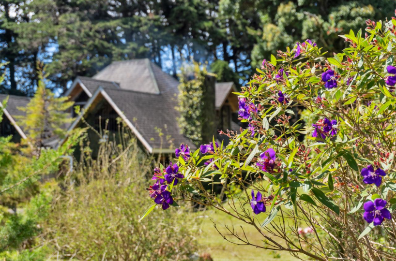 Homes for sale in Heredia Costa Rica