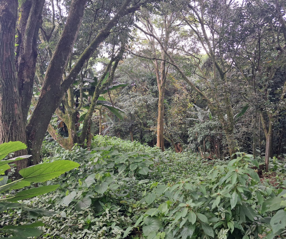 Development Land for sale in Heredia Costa Rica