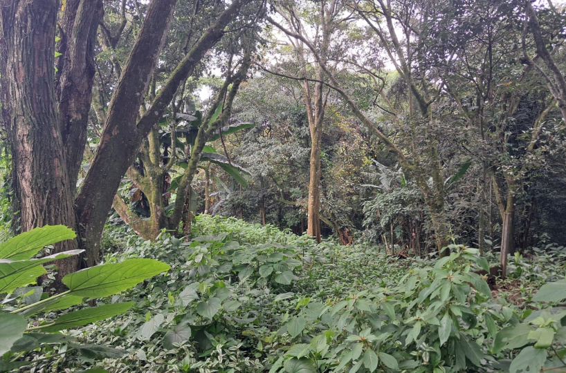Development Land for sale in Heredia Costa Rica