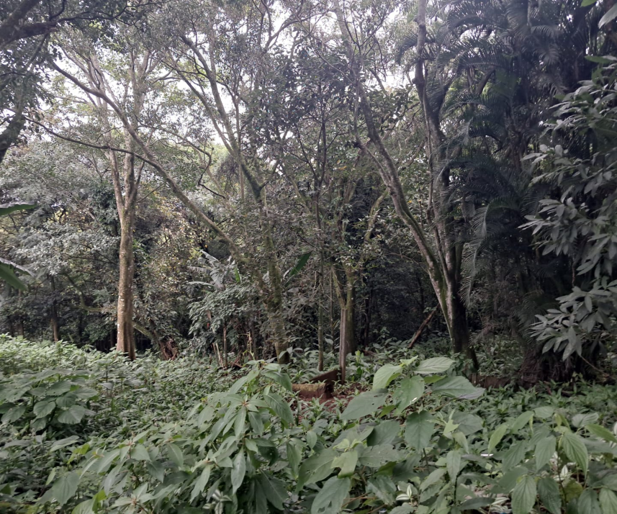 Development Land for sale in Heredia Costa Rica