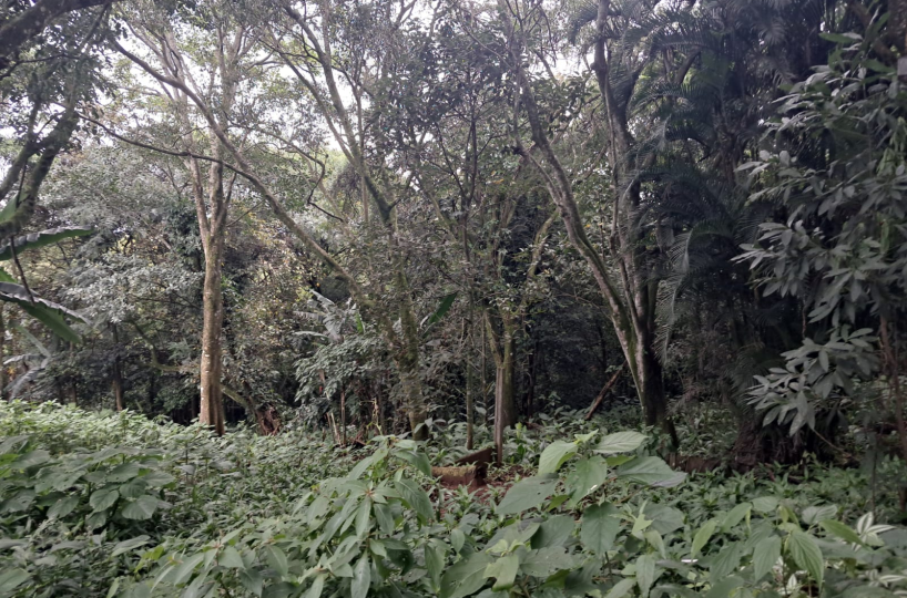 Development Land for sale in Heredia Costa Rica