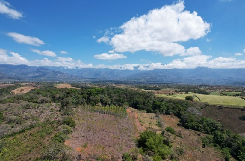 Farms and Ranches for sale in San Isidro-Perez Zeledon Costa Rica