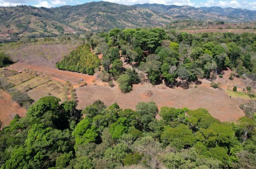 Farms and Ranches for sale in San Isidro-Perez Zeledon Costa Rica