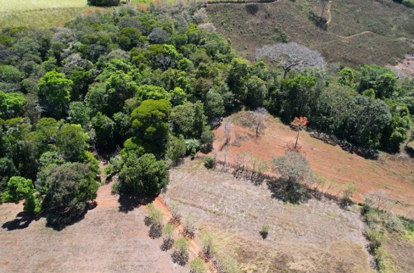 Farms and Ranches for sale in San Isidro-Perez Zeledon Costa Rica