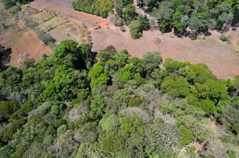 Farms and Ranches for sale in San Isidro-Perez Zeledon Costa Rica