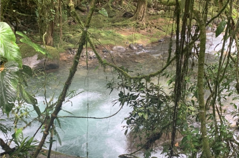 Farms and Ranches for sale in San Isidro-Perez Zeledon Costa Rica