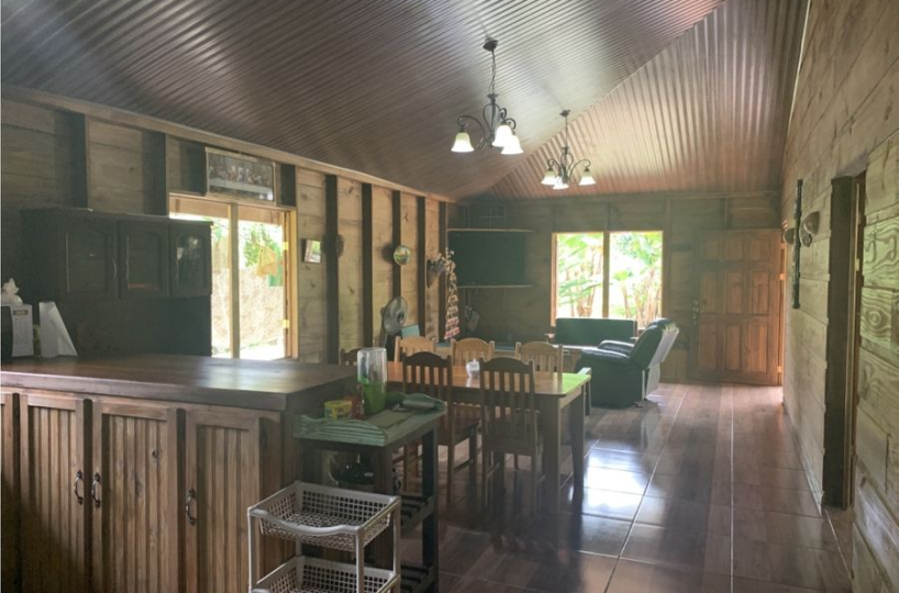 Farms and Ranches for sale in San Isidro-Perez Zeledon Costa Rica