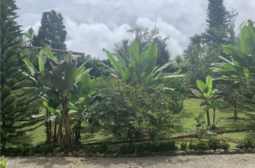 Farms and Ranches for sale in San Isidro-Perez Zeledon Costa Rica