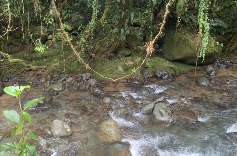 Farms and Ranches for sale in San Isidro-Perez Zeledon Costa Rica