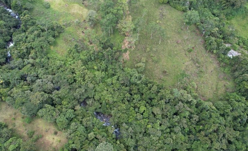 Farms and Ranches for sale in San Isidro-Perez Zeledon Costa Rica