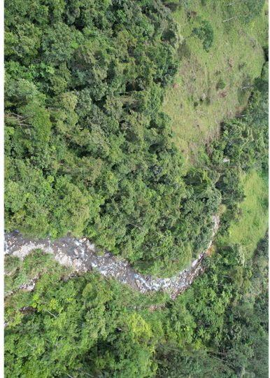 Farms and Ranches for sale in San Isidro-Perez Zeledon Costa Rica