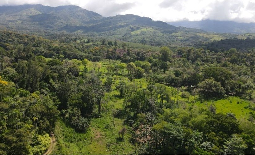 Development Land for sale in San Isidro-Perez Zeledon Costa Rica