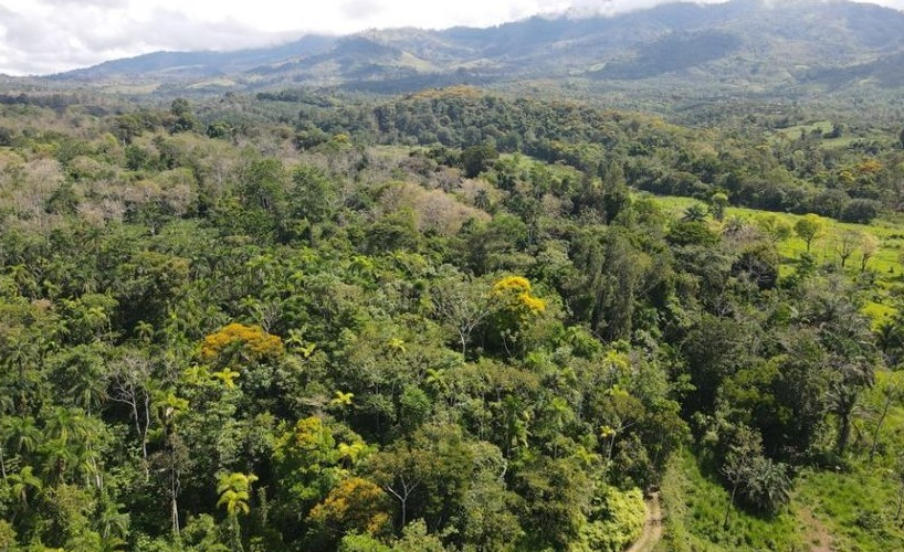 Development Land for sale in San Isidro-Perez Zeledon Costa Rica