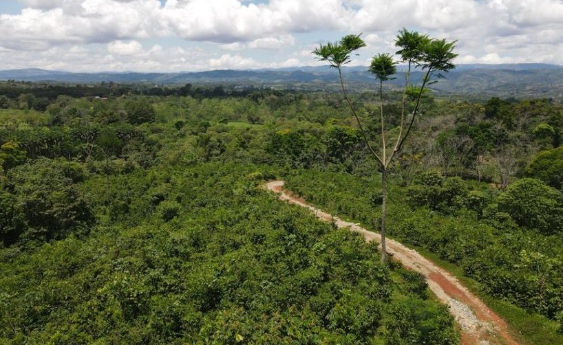 Development Land for sale in San Isidro-Perez Zeledon Costa Rica