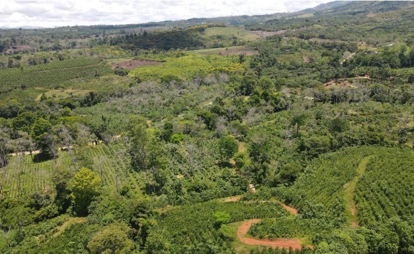 Development Land for sale in San Isidro-Perez Zeledon Costa Rica