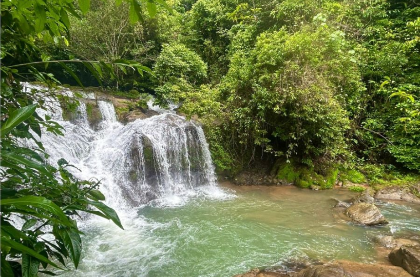 Development Land for sale in DominicalOsa Peninsula Costa Rica