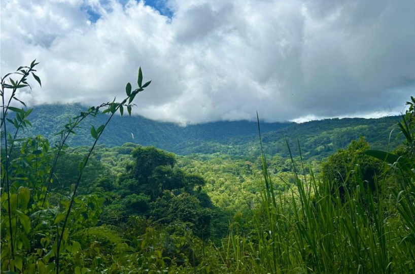 Development Land for sale in DominicalOsa Peninsula Costa Rica