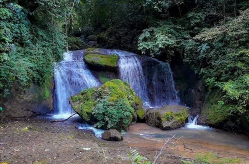 Development Land for sale in DominicalOsa Peninsula Costa Rica