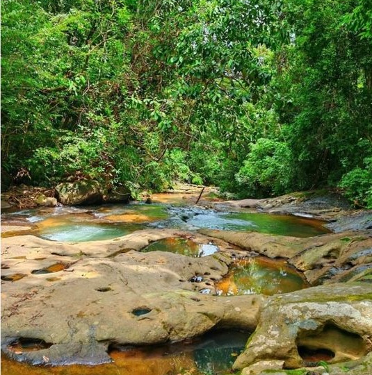 Development Land for sale in DominicalOsa Peninsula Costa Rica