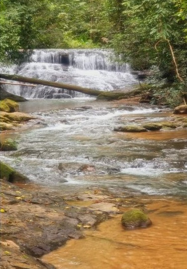 Development Land for sale in DominicalOsa Peninsula Costa Rica