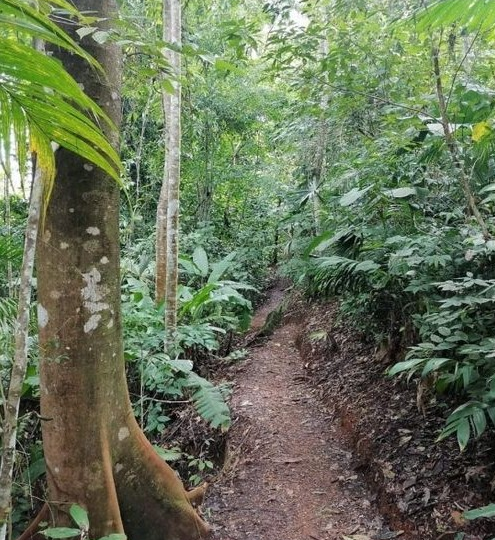 Development Land for sale in DominicalOsa Peninsula Costa Rica