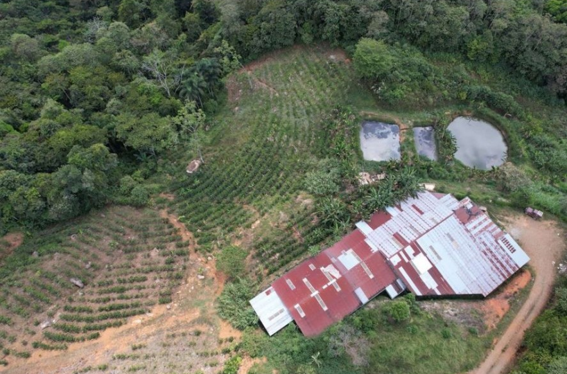 Farms and Ranches for sale in San Isidro-Perez Zeledon Costa Rica