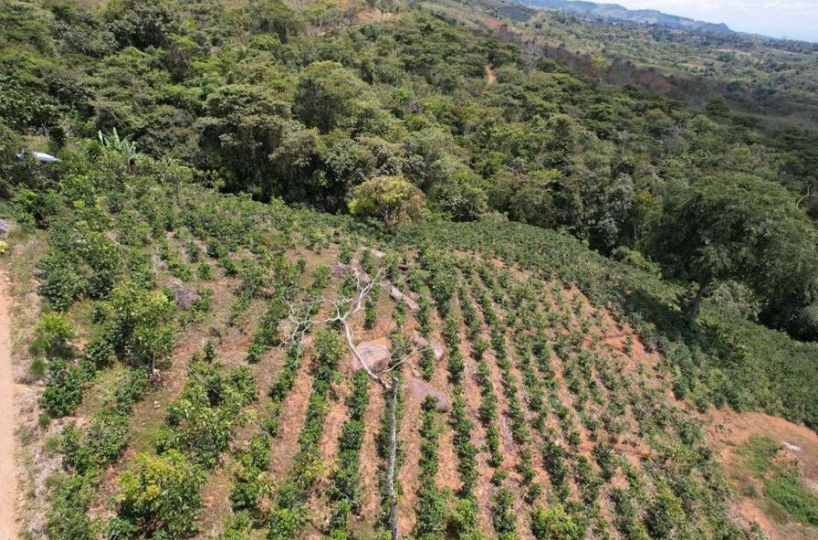 Farms and Ranches for sale in San Isidro-Perez Zeledon Costa Rica