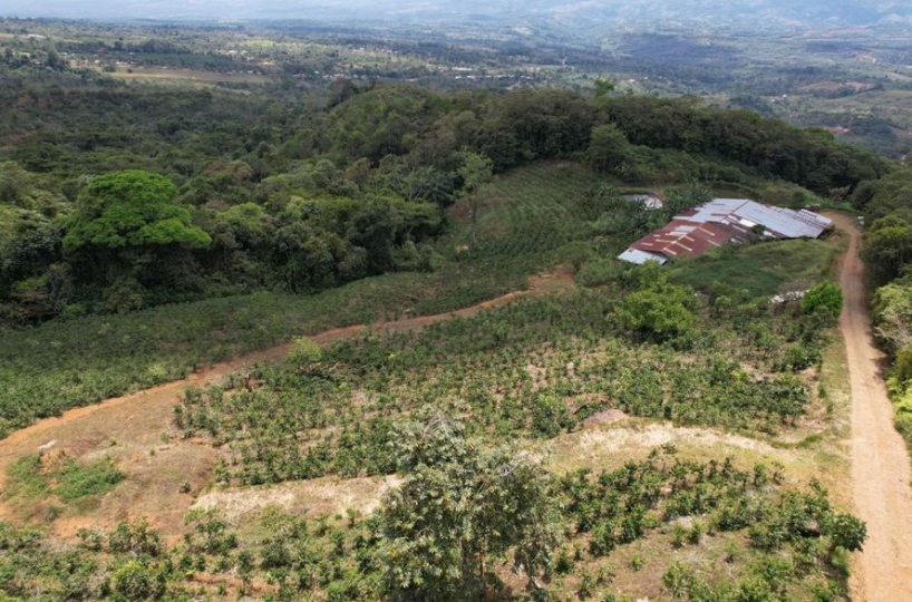 Farms and Ranches for sale in San Isidro-Perez Zeledon Costa Rica