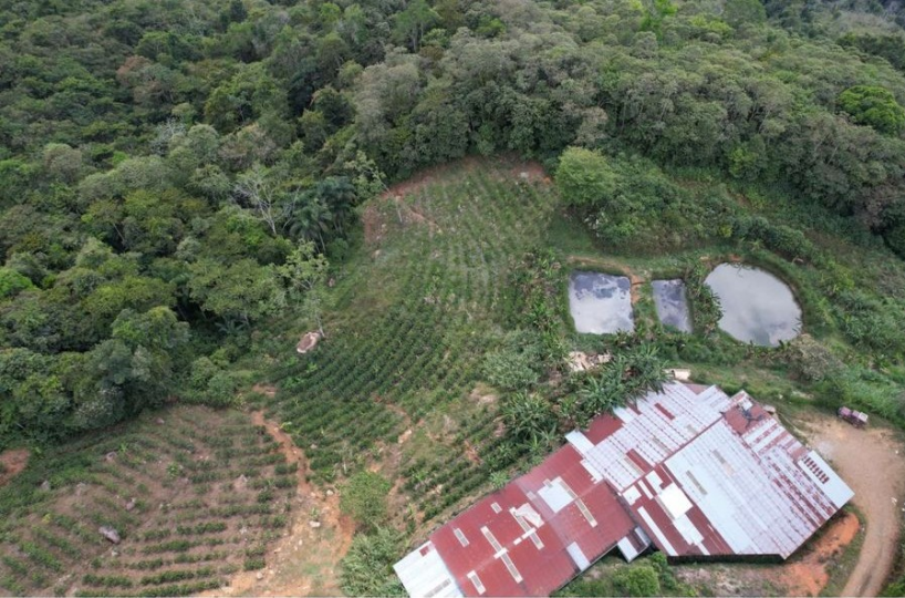 Farms and Ranches for sale in San Isidro-Perez Zeledon Costa Rica
