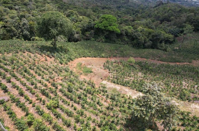 Farms and Ranches for sale in San Isidro-Perez Zeledon Costa Rica