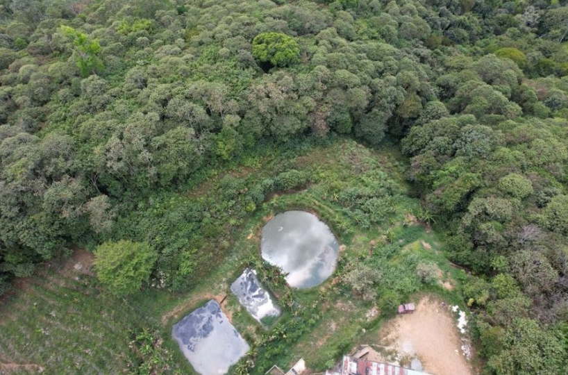 Farms and Ranches for sale in San Isidro-Perez Zeledon Costa Rica