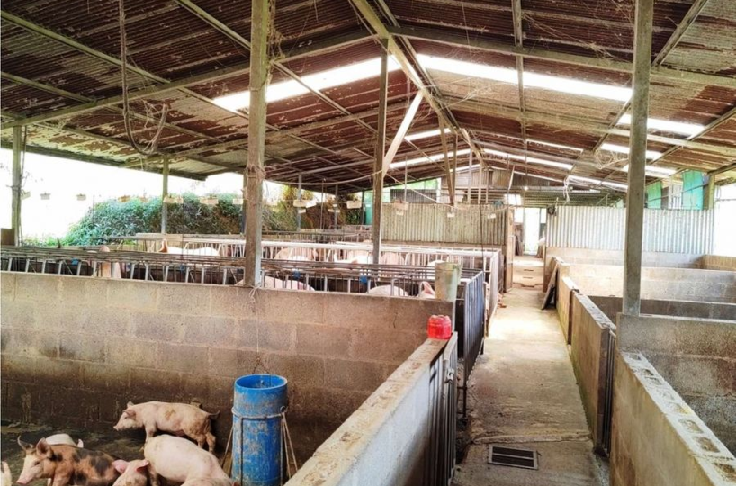 Farms and Ranches for sale in San Isidro-Perez Zeledon Costa Rica